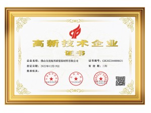 國家高新技術(shù)企業(yè)